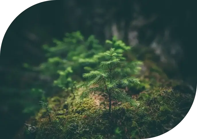 ESG